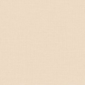 Papel pintado Amundsen 1