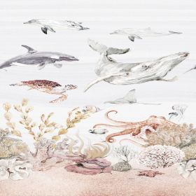 Fotomurales Rakotovazaha