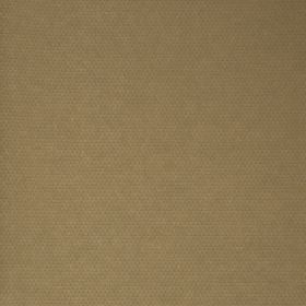 Papel pintado Olaf 5