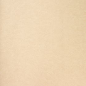 Papel pintado Dortmund 9