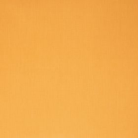 Papel pintado Lorraine 11