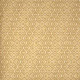 Papel pintado Pachypodium 3
